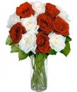 12 Red & White  Roses